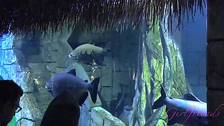 Visit the aquarium with Jessica Rex before heading home for a bath and some masturbation: Porn