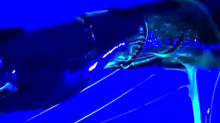 UV Fisting