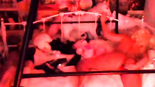 Hot Ass Big Cock Close Up Fuck