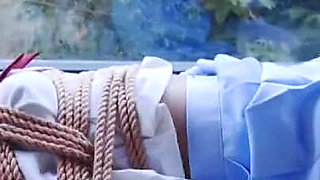 The Scenery Inside the Window Is so Wonderful