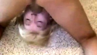 Jamie Fucks Philly Crossdresser Slut