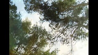 Outdoor Anal and Threesome Fuck with Huge Dicks