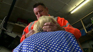 Tattooed blonde gets fucked from her horny dude