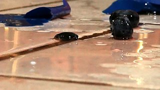 Young amateur teen in solo masturbation getting kinky