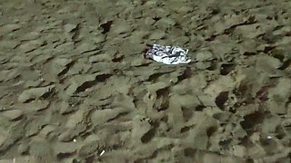 Tight amateur blonde teen babe Natasha Von twat boned good