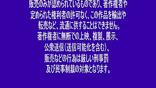 Sexual Process of the Reptilian Mind: Special