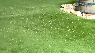 Margot Dulac and Tiffany Leiddi Heat Things up by the Pool