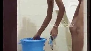 Ultra-cute Indian Mal Boinking OutDoor