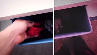 Stepdaughter Ava Marina Swallows Stepdaddy's Load and gets drilled like a slut