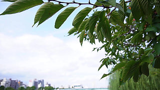 Kikuchi Maya - Stop The Clock! Endless Shenanigans With A Busty Office Lady