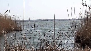 Amateur asian gf outdoor sex and cumshot