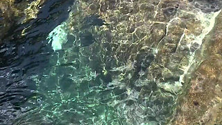 Secret Hot Springs Adventure with Adira