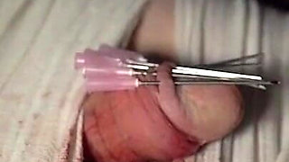 A Crown of Needles, the Only Crown You Will Ever Wear!