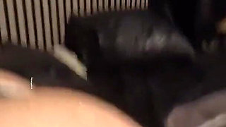 Extreme Anal Play Party with Adelina Noir and Mistress Luciana