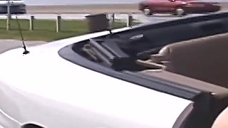 Wild Public Exhibition with Petite Spinner Freak