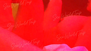 Sexworldtrip - Amateur Hot Latina in Red Light Hotel Room, Real Homemade Sucking & Fucking