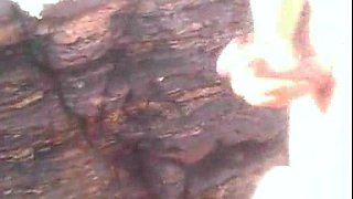 Cock loving randy blonde with braces does blowjob outdoor