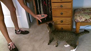 Nikki Coxxx's Reality Lesbian Passion in a Bedroom Show Rush