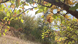 Hana at the Garden and Special Thing Happen