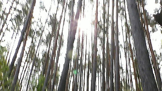 Morning Sex. the Guy Fucked a Red Fox in the Forest