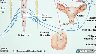 Sheridan Love - The Doctor is in Sheridan Love in 4K - Sheridan love