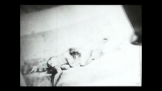 Vintage porn retro erotic theatre - friendly couple
