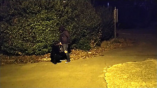 Amateur homemade blowjob video compilation