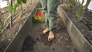 Squashing Tomatoes Barefoot in the Dirt Asmr