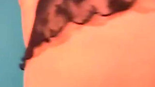 Arab Brunette Hairy Pussy Got Horny in the Interview I Fucked Her Hot