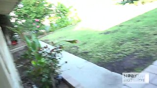 Emily Willis Does A Deepthroat After Getting Fucked By Ass!