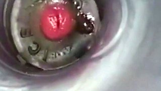 Amateur Big Cock Handjob Masturbation