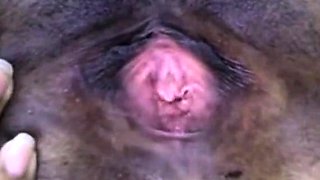 Black Girl Masturbates on Webcam