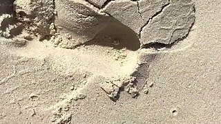 I Love the Sea and the Sun