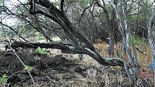 - You explore with Chloe, then hit the nude beach. ATK