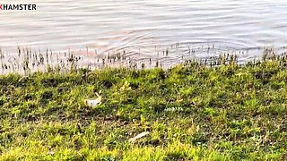 Hot Brunette Girlfriend POV Blowjob