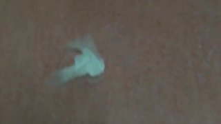 Watch kinky Japanese hotties pee and play with each other's wet pussies in public