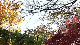 001-roujuui-ayuy-roo-apd