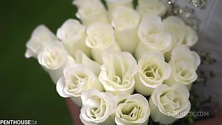 Virgin Bride Gets Her Cherry Popped