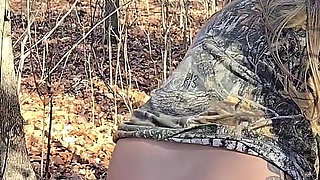 PAWG Hotwife Lexi Love Goes Dogging in Public Woods & Gets Creampied by Stranger