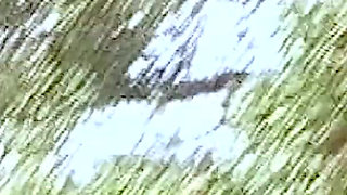 Sexy MILF Naked on the Nudist Beach