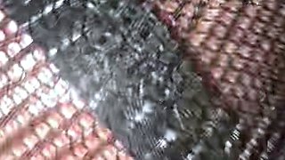 Glamour young amateur lesbos licking clit and fingering