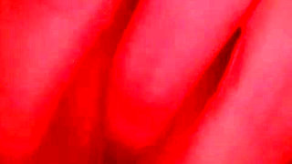 My wife always wants cock