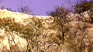 Sexy Blonde Blowjob Whore Rides Cock Hardcore