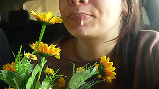 Sneezing Fit in the Car My Plastic Flower Allergy Reaction