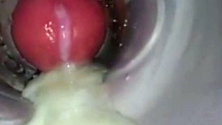 Amateur Big Cock Handjob Masturbation