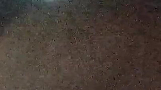 Audition Practice at Home