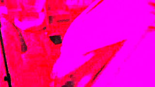 Pink Lights Miss Kitty Teases In Bikini