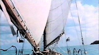 Brunette hardcore blowjob