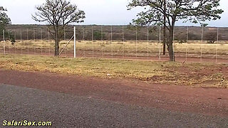 Extreme sex with a hot African housewife