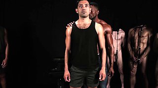 Stable Master Oils Hung Stallions